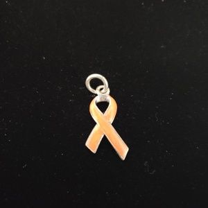 Beaucoup Designs Leukemia Cancer Ribbon Charm